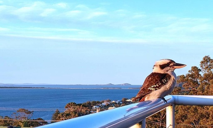 Nelson Bay House | Pacific Waters - Unbeatable Views of Port Stephens