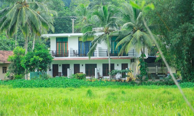 Mirissa Resort | Paddy Field View Resort