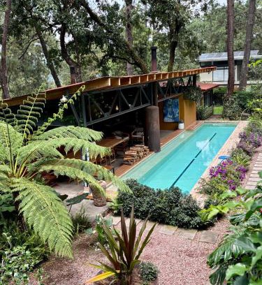 Valle de Bravo Bed & Breakfast | Pandurata Bed and Breakfast