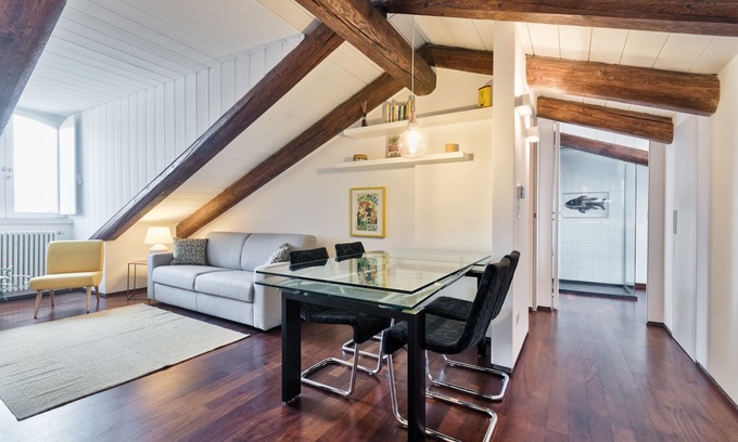 Cit Turin Apartment | Panoramic skylight apartment. Private car parking, wifi