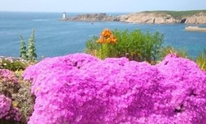 Le Conquet Apartment | Panoramic view of the Iroise Sea, its lighthouses, its islands (Ouessant, Molène)