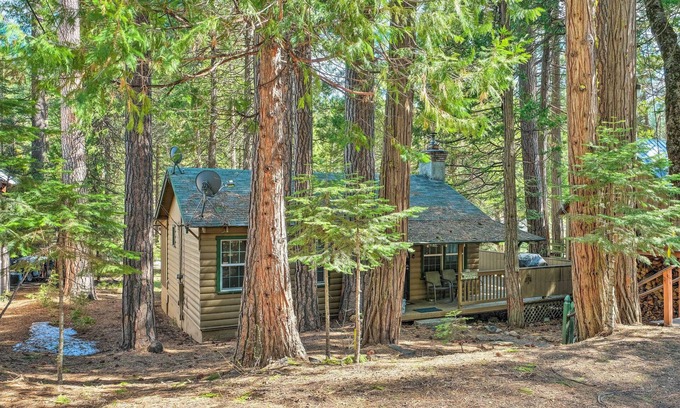Long Barn Cabin | Peaceful 'Little Doll House' Cabin w/Grill!