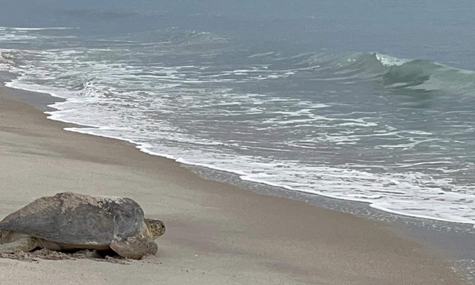 Summerplace House | Peaceful Retreat on the Treasure Coast. Come stay a week or months!