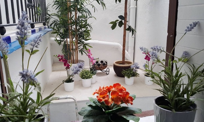 Museo House | Pensión La Giraldilla