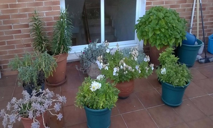 Miranda de Ebro House | Pensión Las Matillas