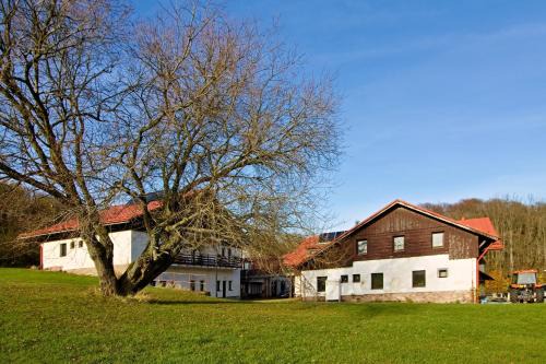 Novy Hradek House | Penzion Hradek
