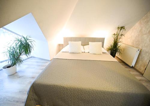 Trencin House | Penzion Pri Parku