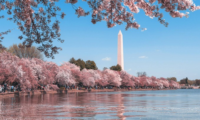 Stanton Park House | Perfect Capitol Hill Location - Close to Sights, Restaurants and Transportation