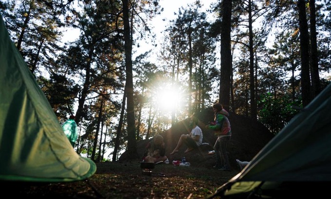 Walnut Shade Other | Persimmon Grove Retreat and Camp