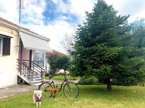 Pigi House | Pet friendly House
