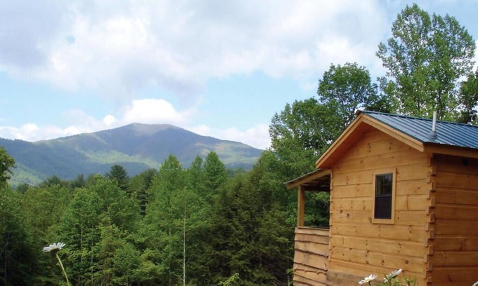 Hot Springs Cabin | Pet-Friendly Mountain Log Cabin for Couples