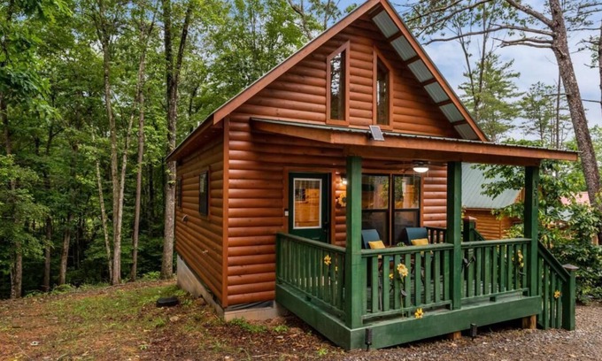 Murphy Cabin | Pets Welcomed at this Colorful Sunflower Cabin!