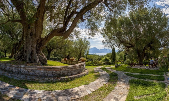 Bosco Other | Pie' d'Ulivo