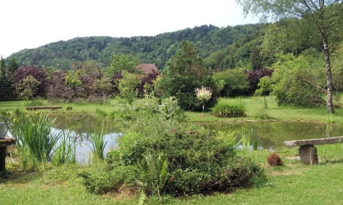 Faucogney-et-la-Mer Apartment | Pied des Milles Etang - Les Capucins