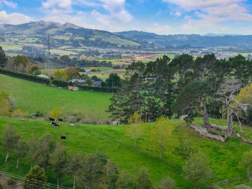 Waikato District Villa | Pine Hill Cottage -Auckland