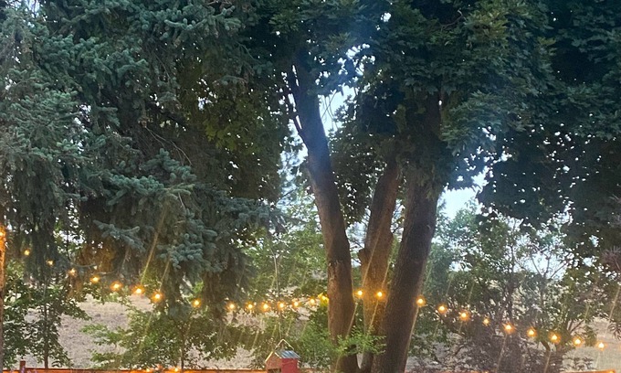 Wamic Cottage | Pine Hollow Maupin Adventure Cottage