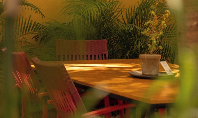 Ejidal Hotel | Plot 7 Cafe - Hotel. Beautiful and quiet Boutique Hotel, with cafeteria.