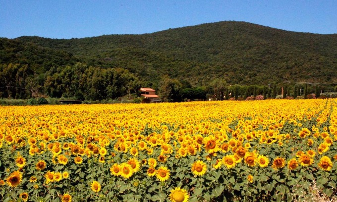 Castiglione della Pescaia House | Podere Valborgina