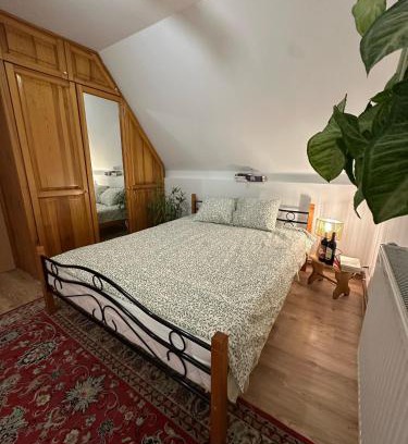 Bielsk Podlaski House | Pokój Cień Paproci