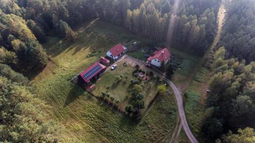 Miłomłyn Apartment | Pokoje w lesie