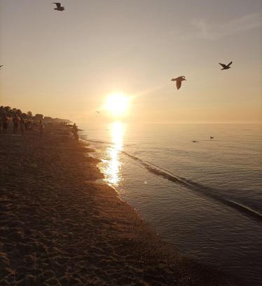 Sarbinowo Resort | Politechnika Warszawska Ośrodek Wypoczynkowy