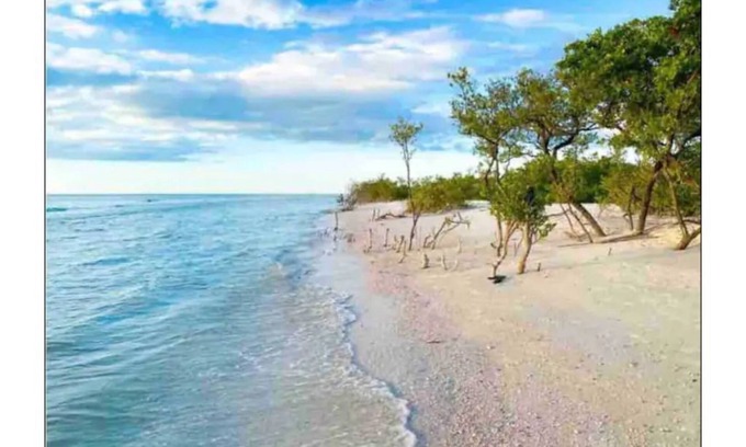 Cobbs Landing House | *Pool* 8.5 miles to Honeymoon Island. 4 bdr