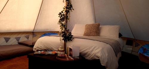Pembroke Other | Pop up Pembrokeshire
