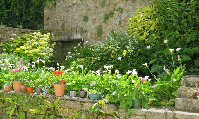 Audierne Apartment | Port d' Audierne Appartement rez de Chaussée Avec Jardin
