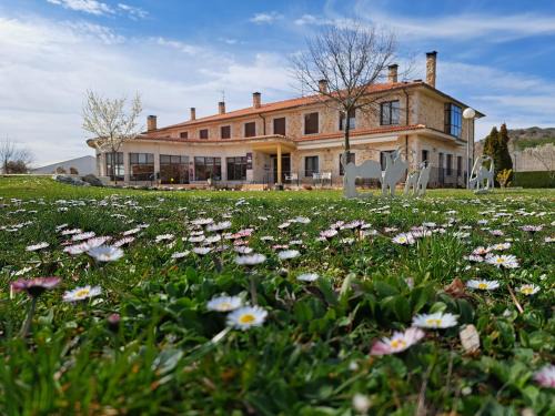 Caleruega Hotel | Prado de las merinas