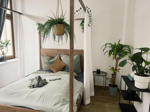 Zwickau Apartment | Pretty Home City Jungle