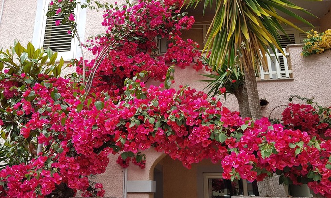 Olbia House | Pretty house with garden to 10 minutes from the beautiful beaches of the Costa.