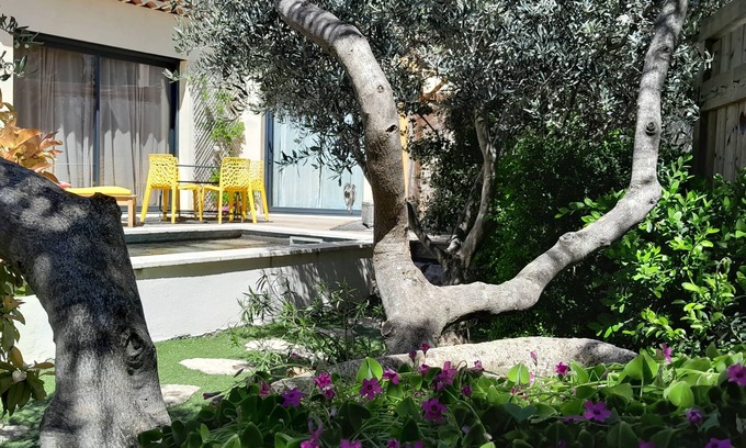 Methamis House | Pretty little house with swimming pool between Mont Ventoux and Luberon
