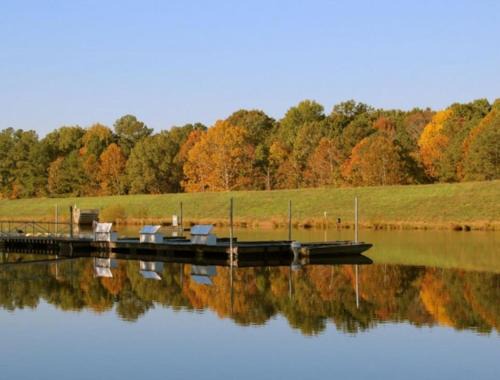 Cary House | Prime Cary Spot Near Fenton, Downtown & WakeMed