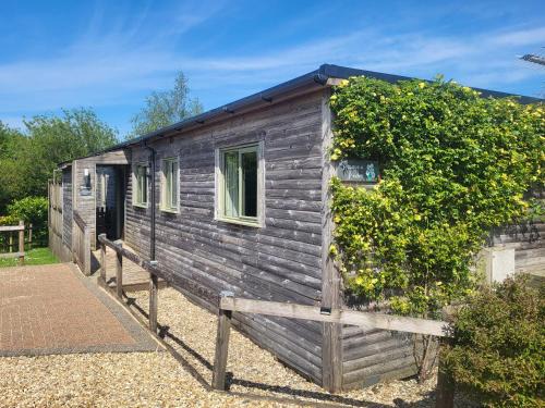 Holsworthy House | Primrose Lodge