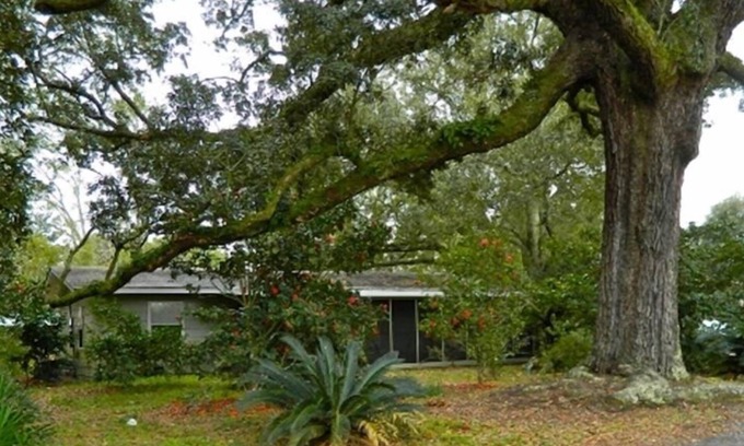 Ocean Springs House | Private Cottage, Historic Ocean Springs, Intown Location