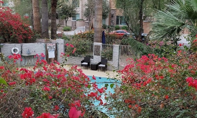 South Scottsdale Apartment | Private One Bedroom Hideaway in the Heart of Scottsdale