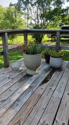 Tupelo House | Private room and bath in comfortable home
