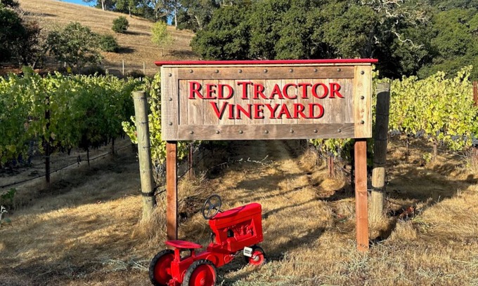 Napa House | Private single-level 3 Bedroom Napa vineyard home minutes from Downtown!