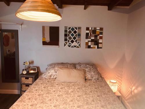 Coral Way Apartment | Private Studio Cabin steps from Calle 8
