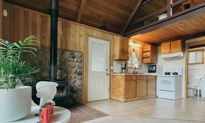 Mason County Cabin | Private Waterfront Cabin on Lake: Cloudloft Cabin