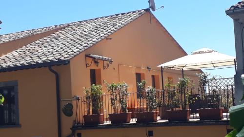 Bagnoregio House | "Profumo di Tiglio"