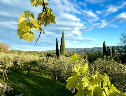 Gordes Bed & Breakfast | Provence km28