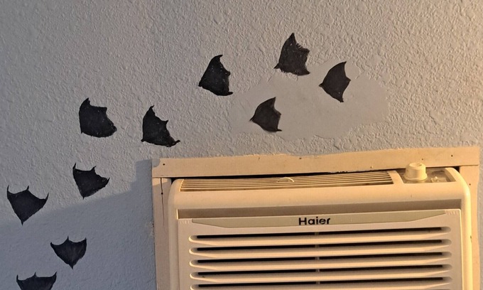 Canton House | Puffin Room at Mtn Hideout