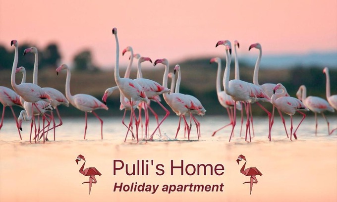 Selargius Apartment | Pulli's Home - Comfy&Cozy House