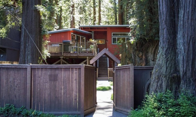 Guerneville Cottage | Pumpkin House Summary