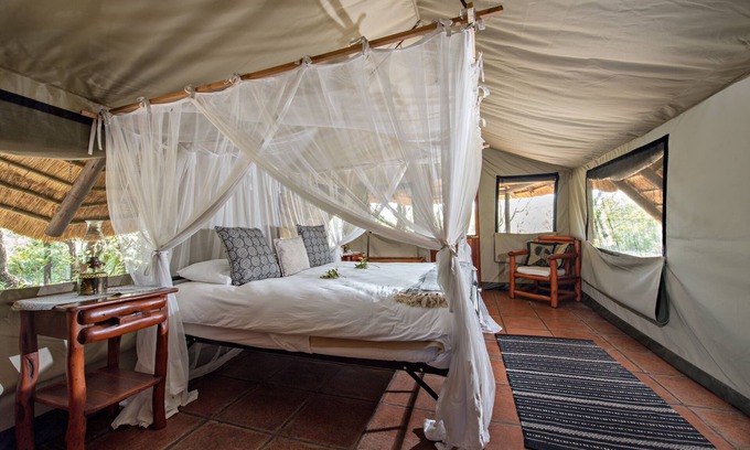 Kruger National Park Other | Pungwe Safari Camp
