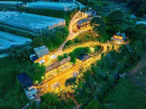 Da Lat Hotel | Q Village Homestay Đà Lạt