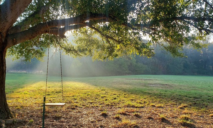 Barium Springs Cottage | Quiet and cozy cottage hidden on the banks of Lake Norman