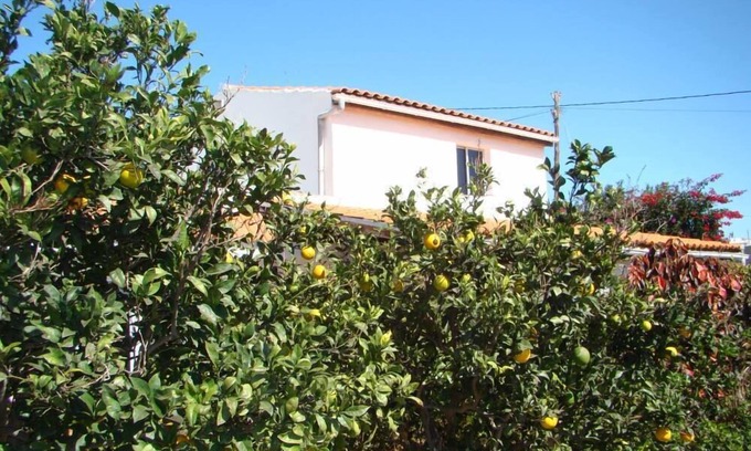 Granadilla de Abona Cottage | Quiet cottage in the middle of an orchard