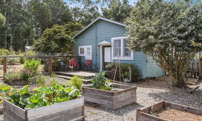 Albion Cottage | Quiet, quaint, quintessential cottage in Solitude with kitchenette & free WiFi